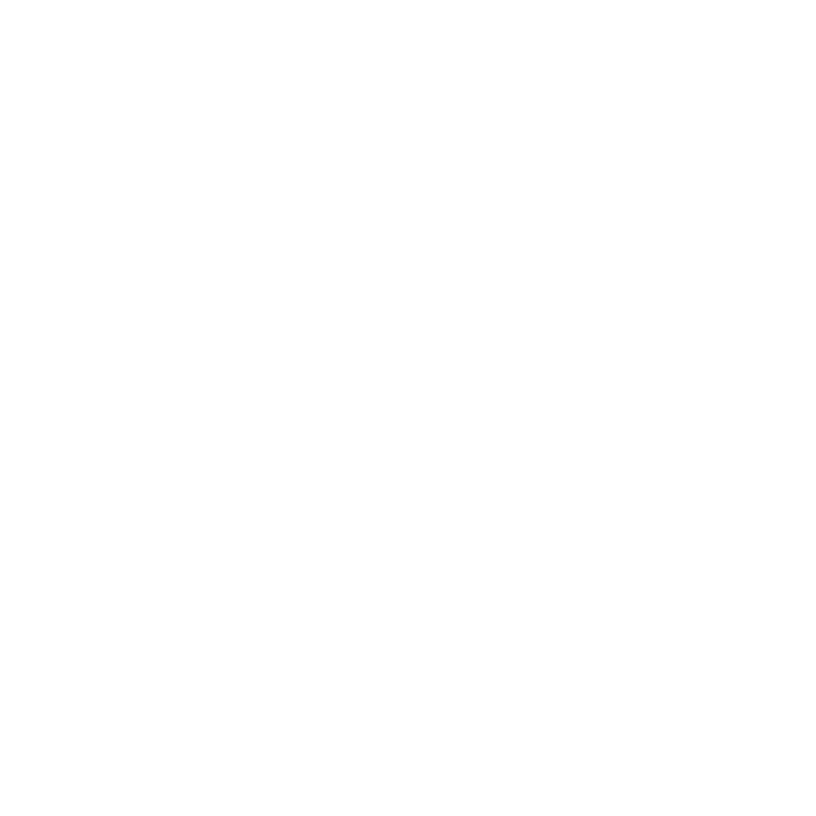 BunnyStore Logo